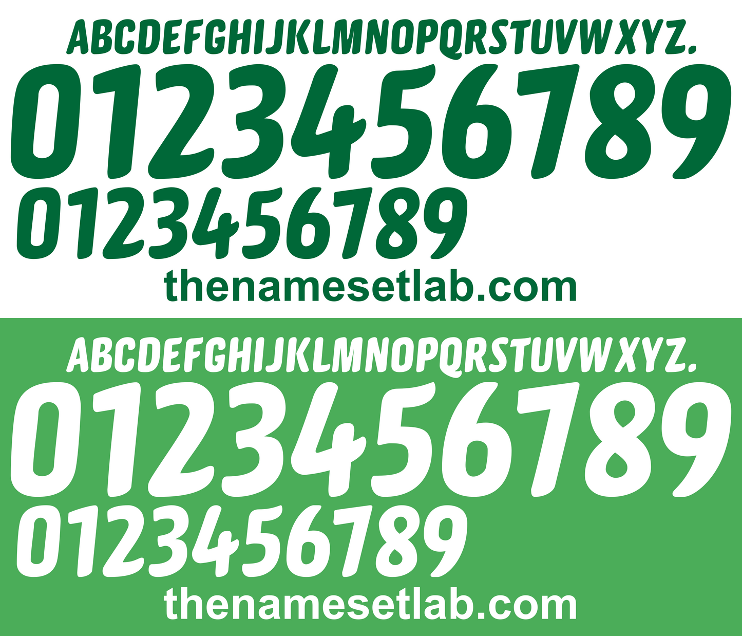 Algeria 2010 Football Nameset AI Vector File