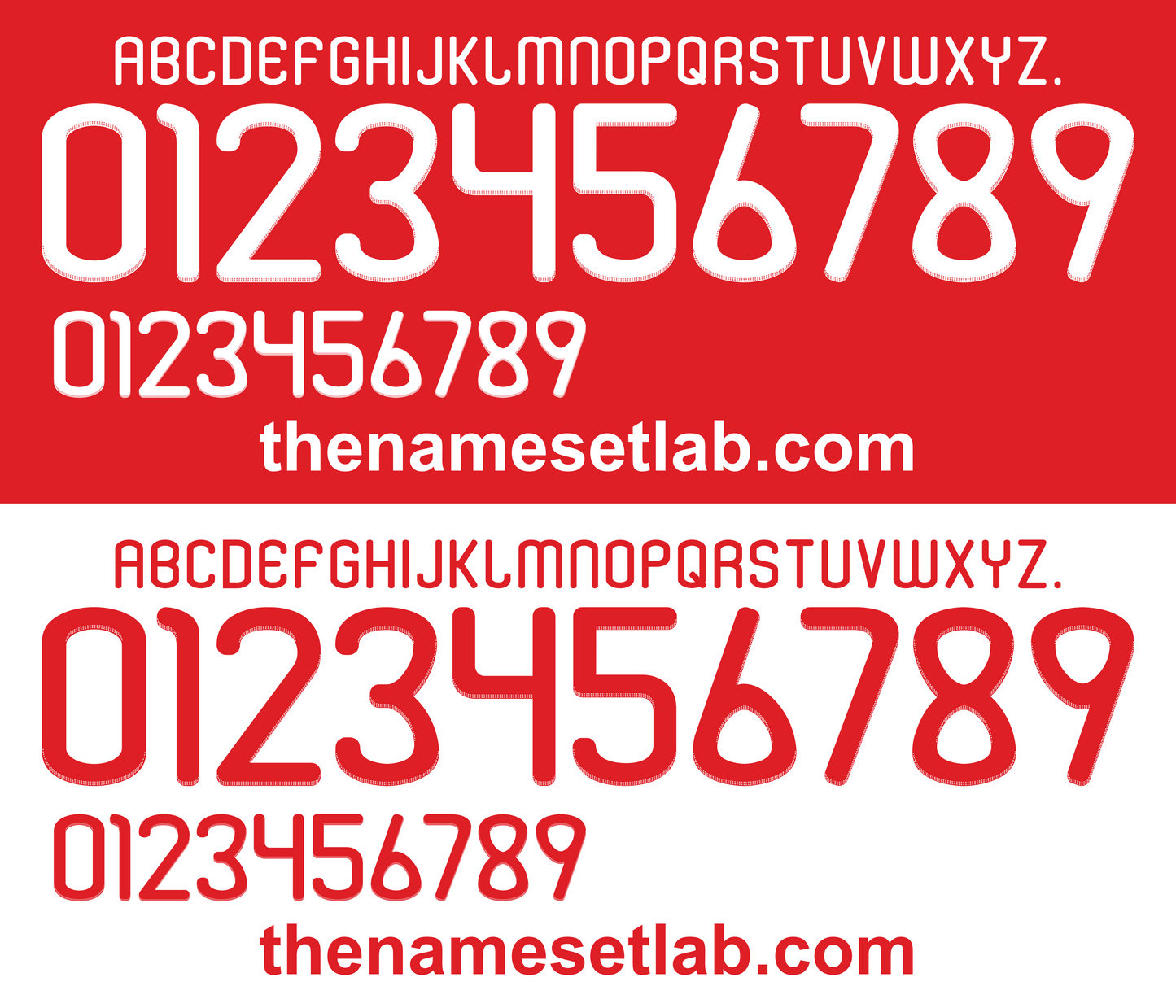 Denmark 2010 Football Nameset AI Vector File