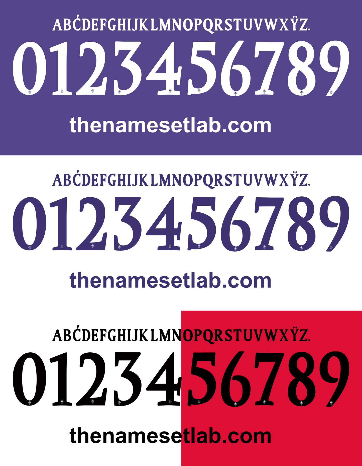 Set of three Fiorentina 2012-2013 Nameset displayed on a purple, red, and black background with 'thenamesetlab.com' text.