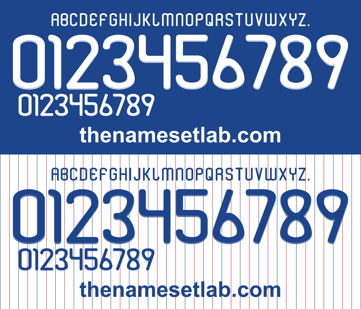 France 2010 Football Nameset AI Vector File