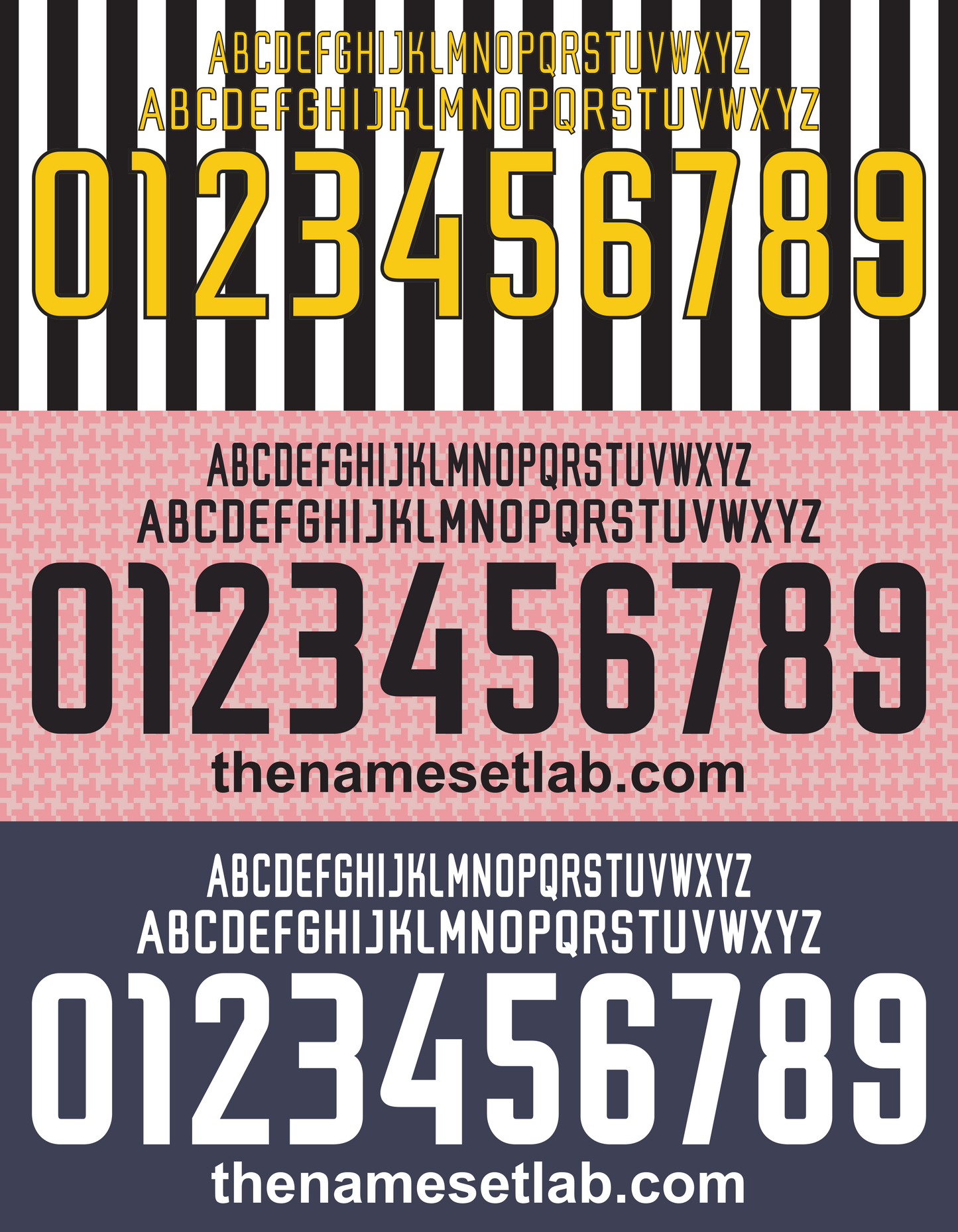 Juventus 2003-2004 Nameset AI Vector File