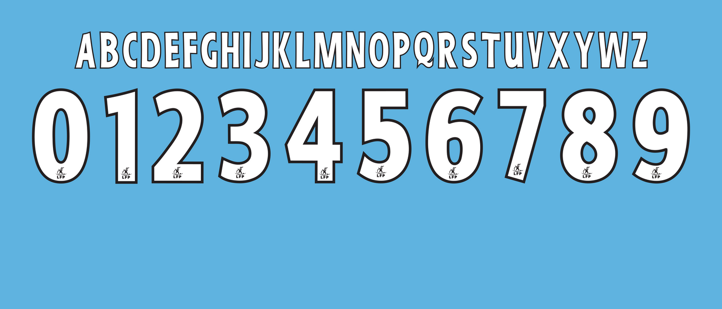 Ligue 1 2007–2010 Nameset Vector mockup