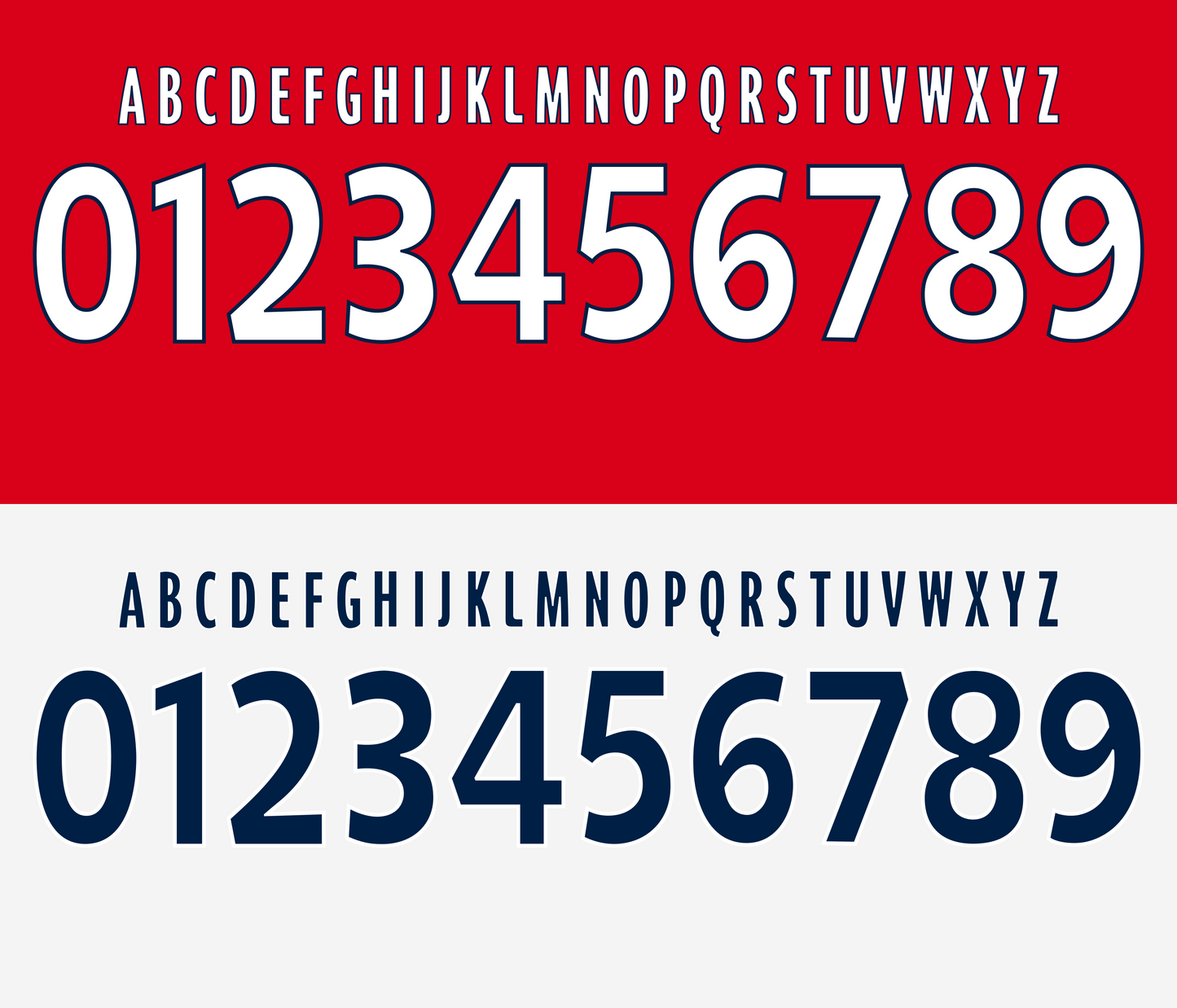 Lille OSC UEFA Champions League 2011–2012 Nameset mockup