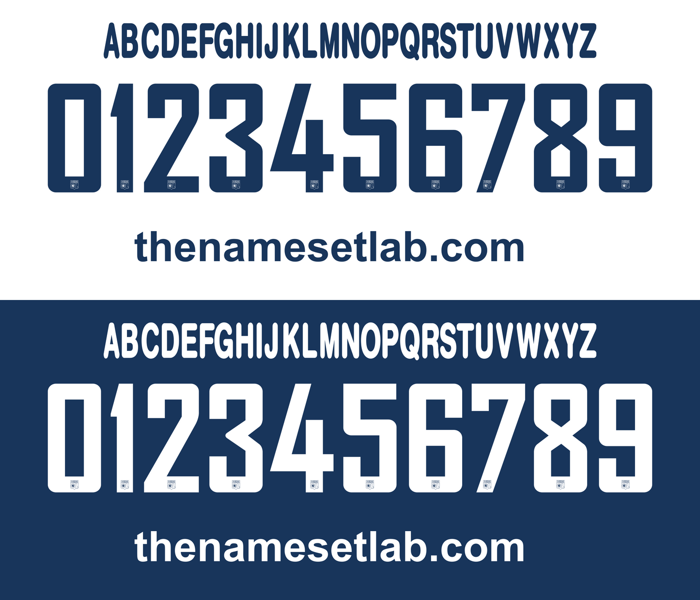 Lyonnais 2010–2011 Nameset mockup