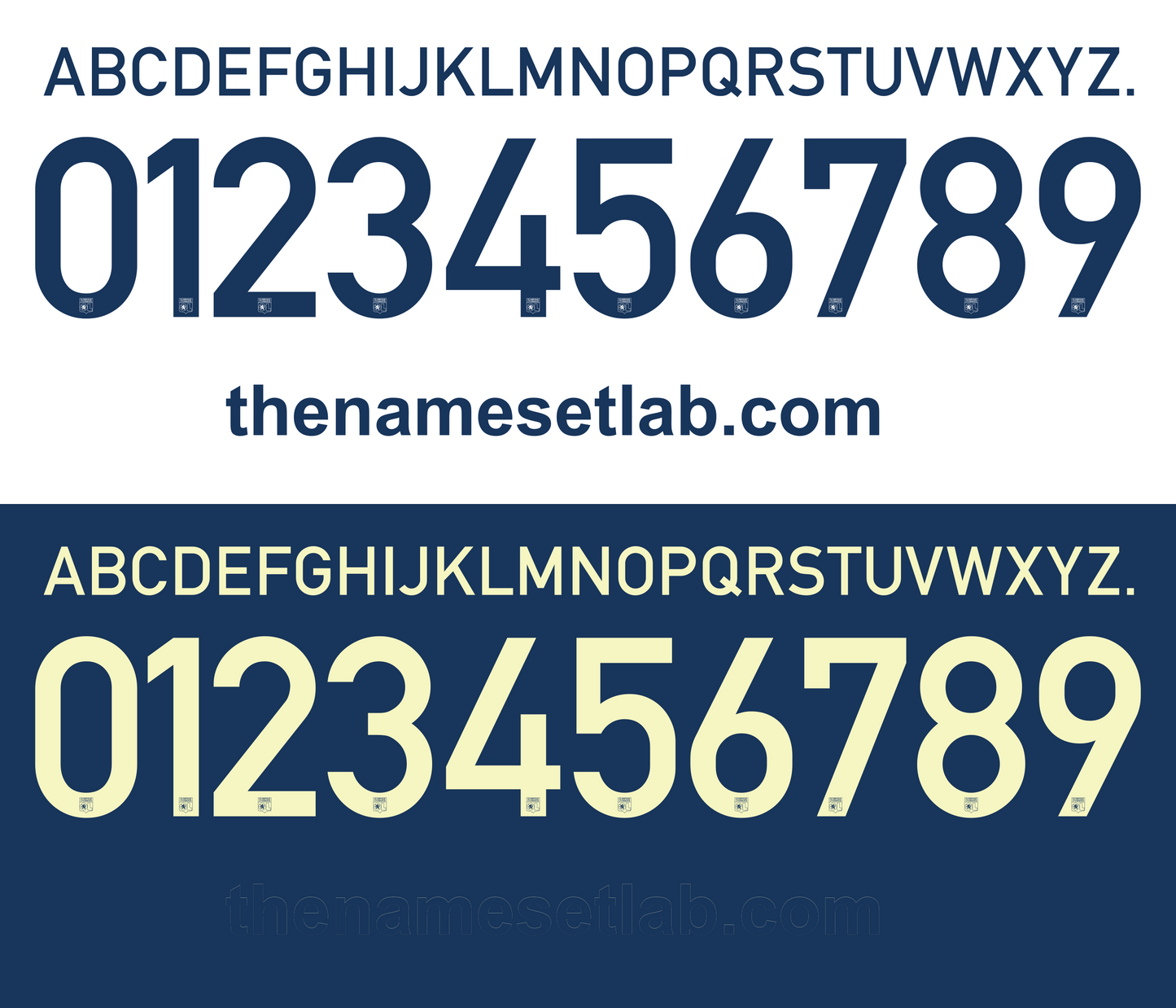 Lyonnais 2013–2014 Nameset mockup