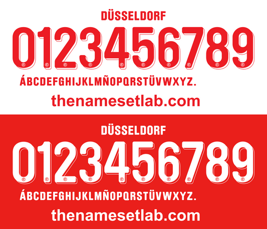 Dusseldorf 2017-2018 Nameset AI Vector File