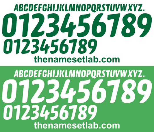 Algeria 2010 Football Nameset AI Vector File