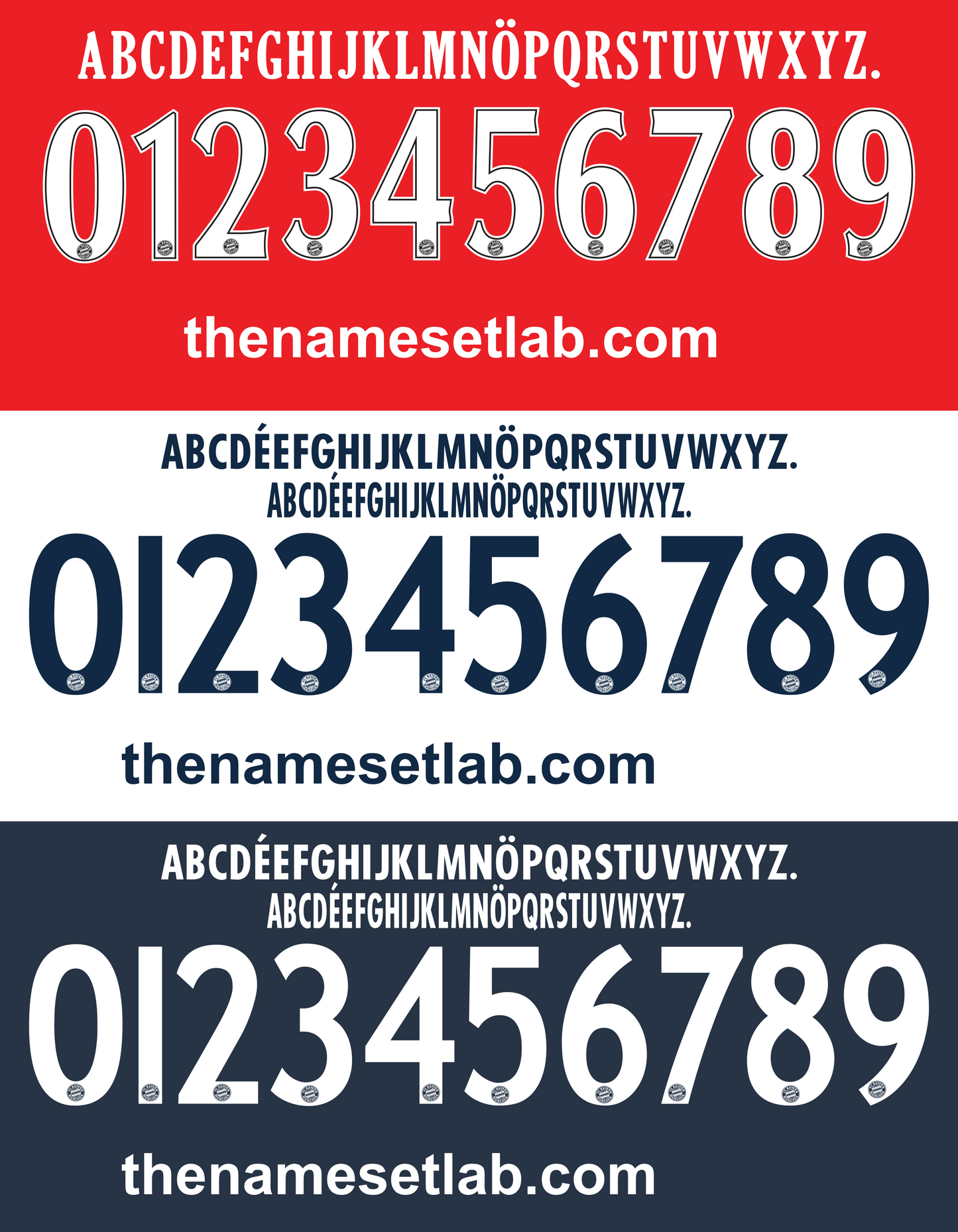 Bayern Munich 2010-2011 Nameset AI Vector File
