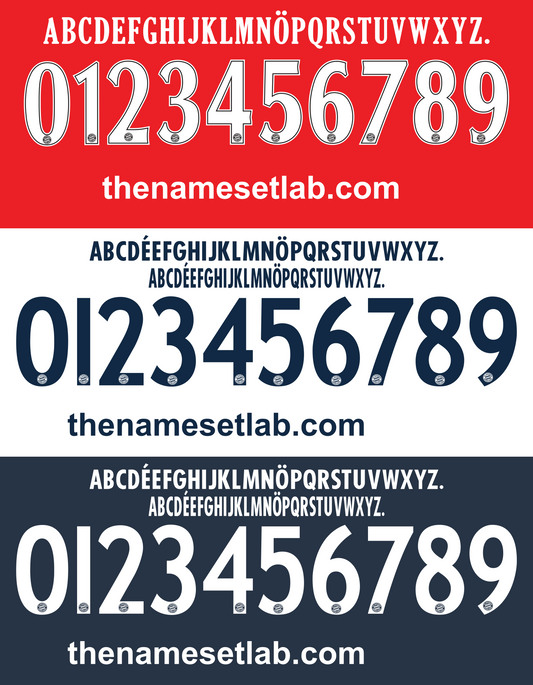Bayern Munich 2010-2011 Nameset AI Vector File