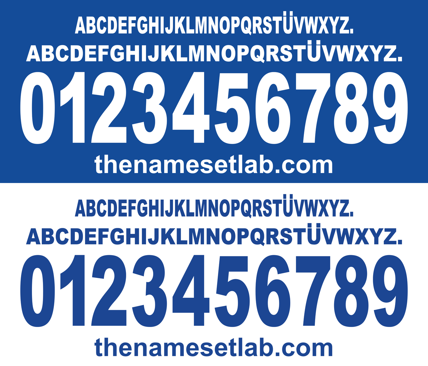 White and blue font display with the Brescia 2000-2001 Nameset and website URL on a blue background