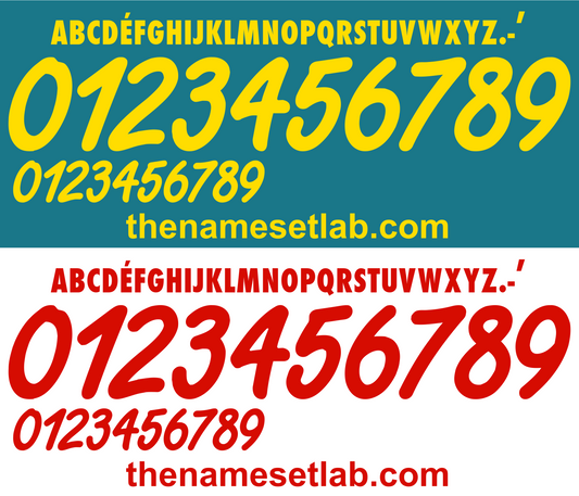 Cameroon 2002 Football Nameset AI Vector File