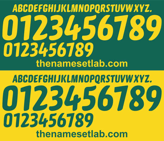 Cameroon 2010 Football Nameset AI Vector File