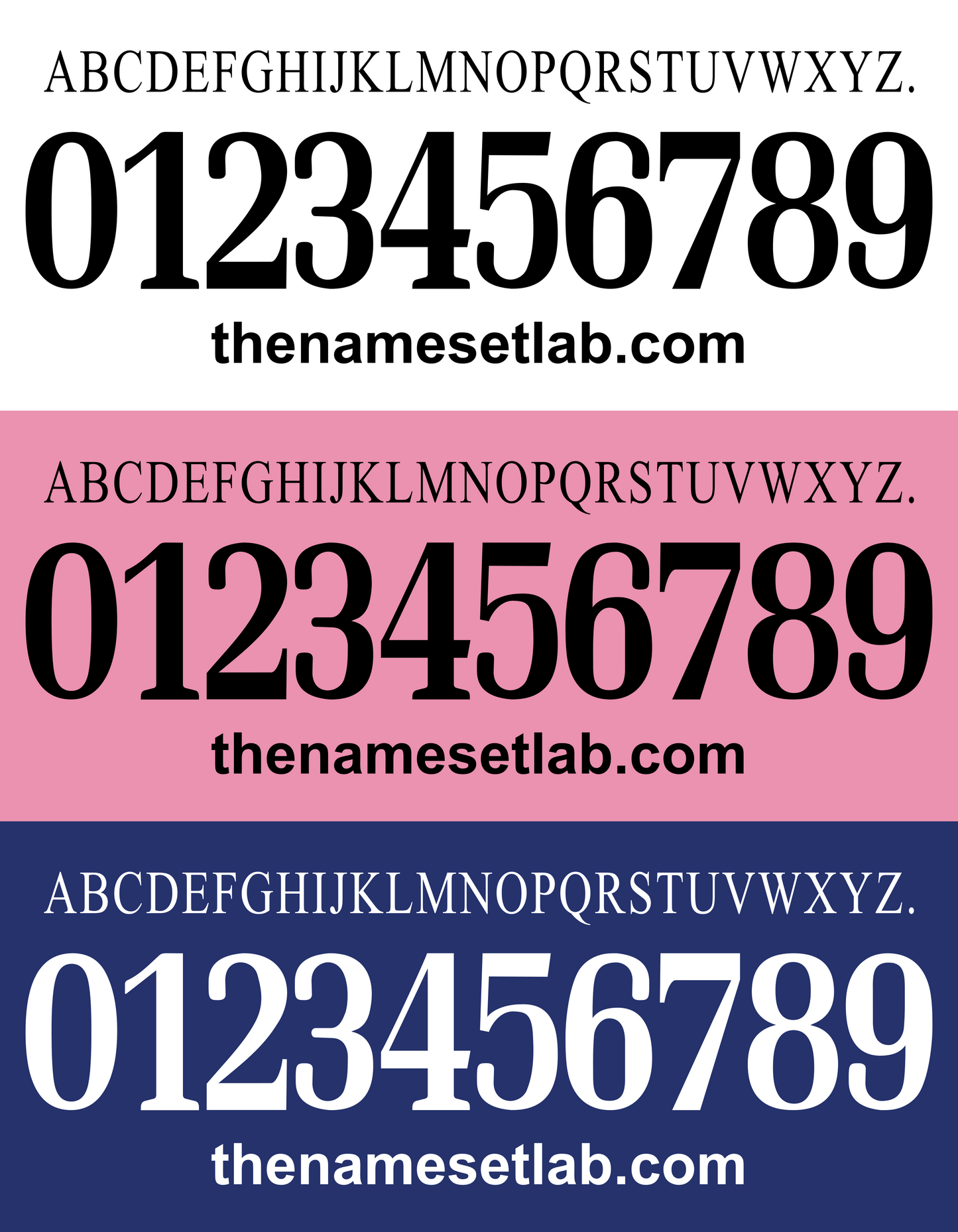 Cesena 2014-2015 Nameset 