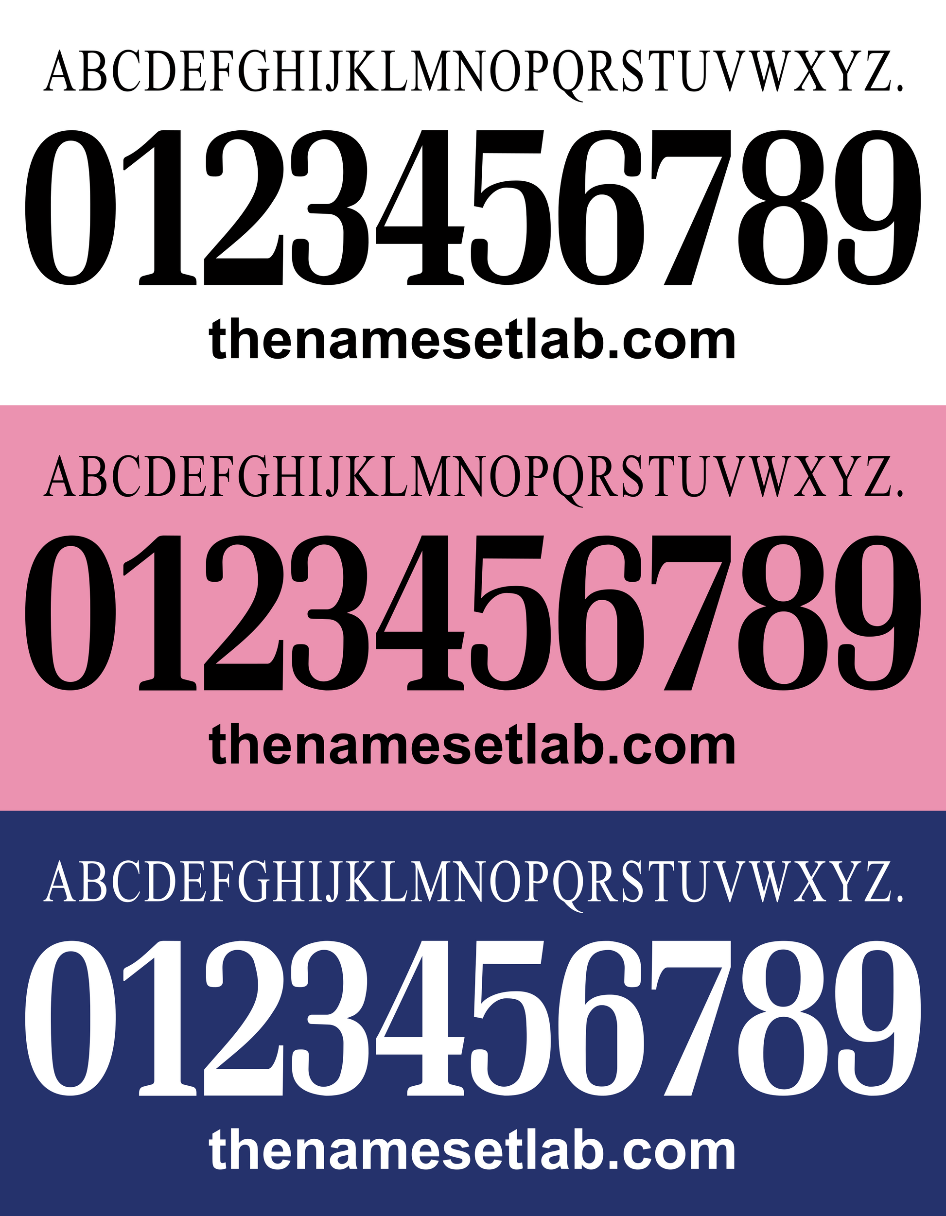 Cesena 2014-2015 Nameset 