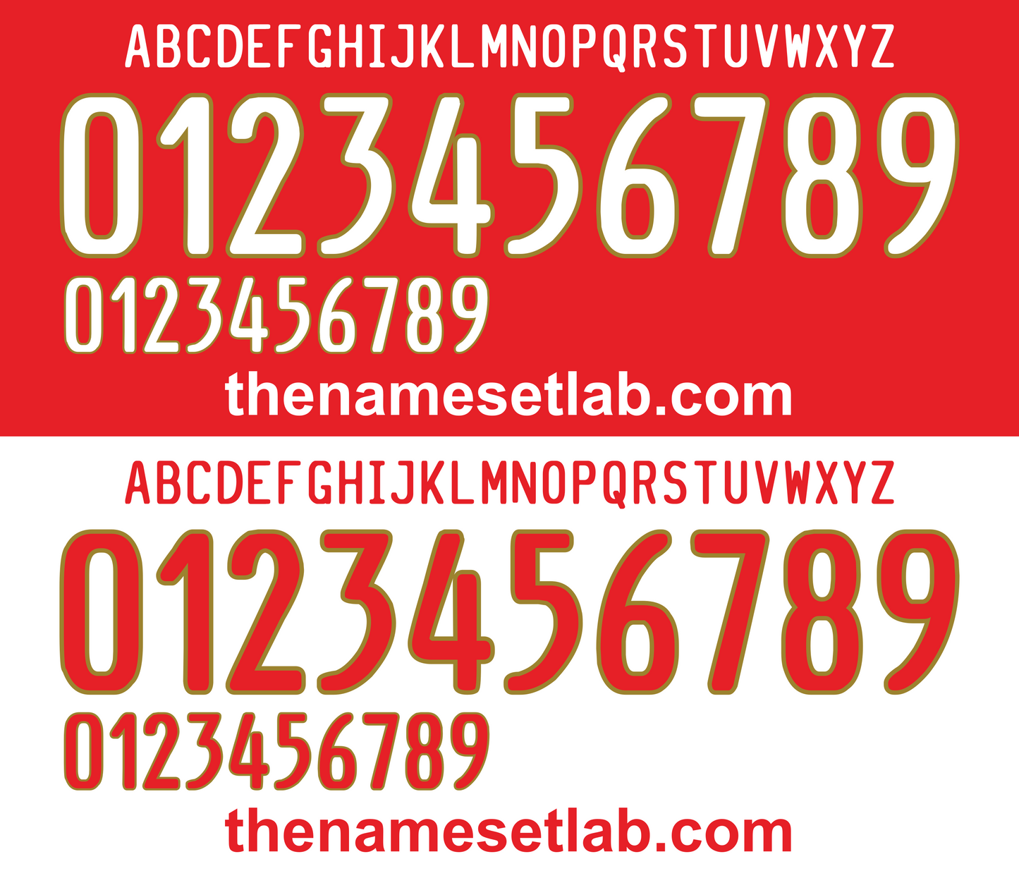 Chile 2010 Football Nameset AI Vector File