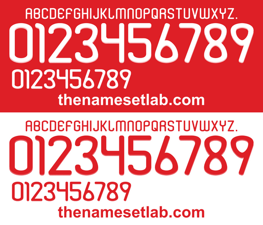 Denmark 2010 Football Nameset AI Vector File