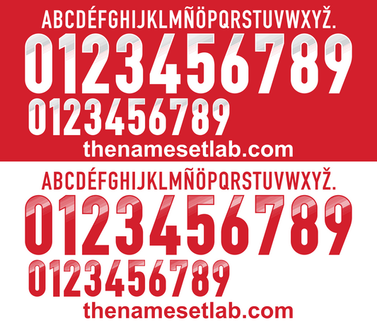 Denmark 2012 Football Nameset AI Vector File