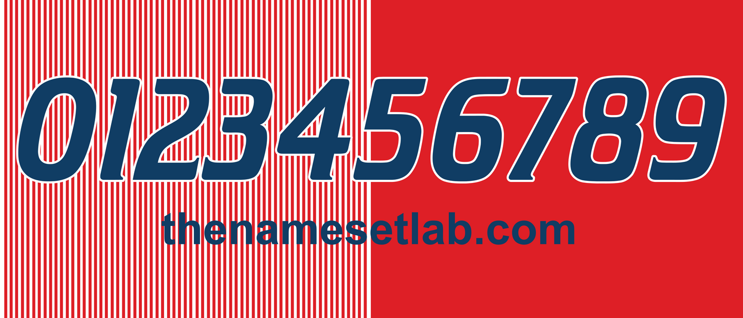 Denmark 1986 Football Nameset AI Vector File