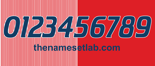 Denmark 1986 Football Nameset AI Vector File