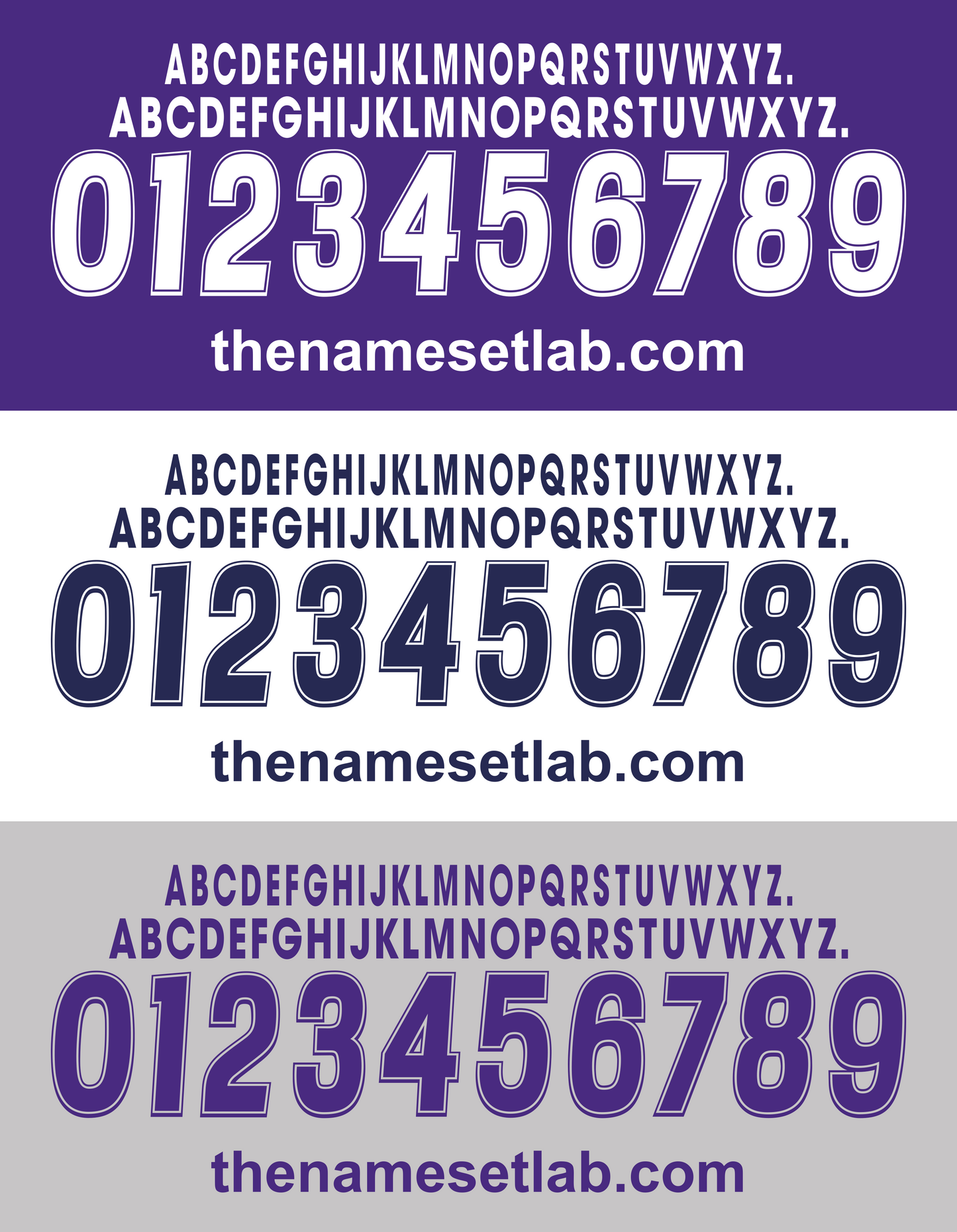 Fiorentina 2000-2001 Nameset - a series of letters and numbers on a purple white and grey backround
