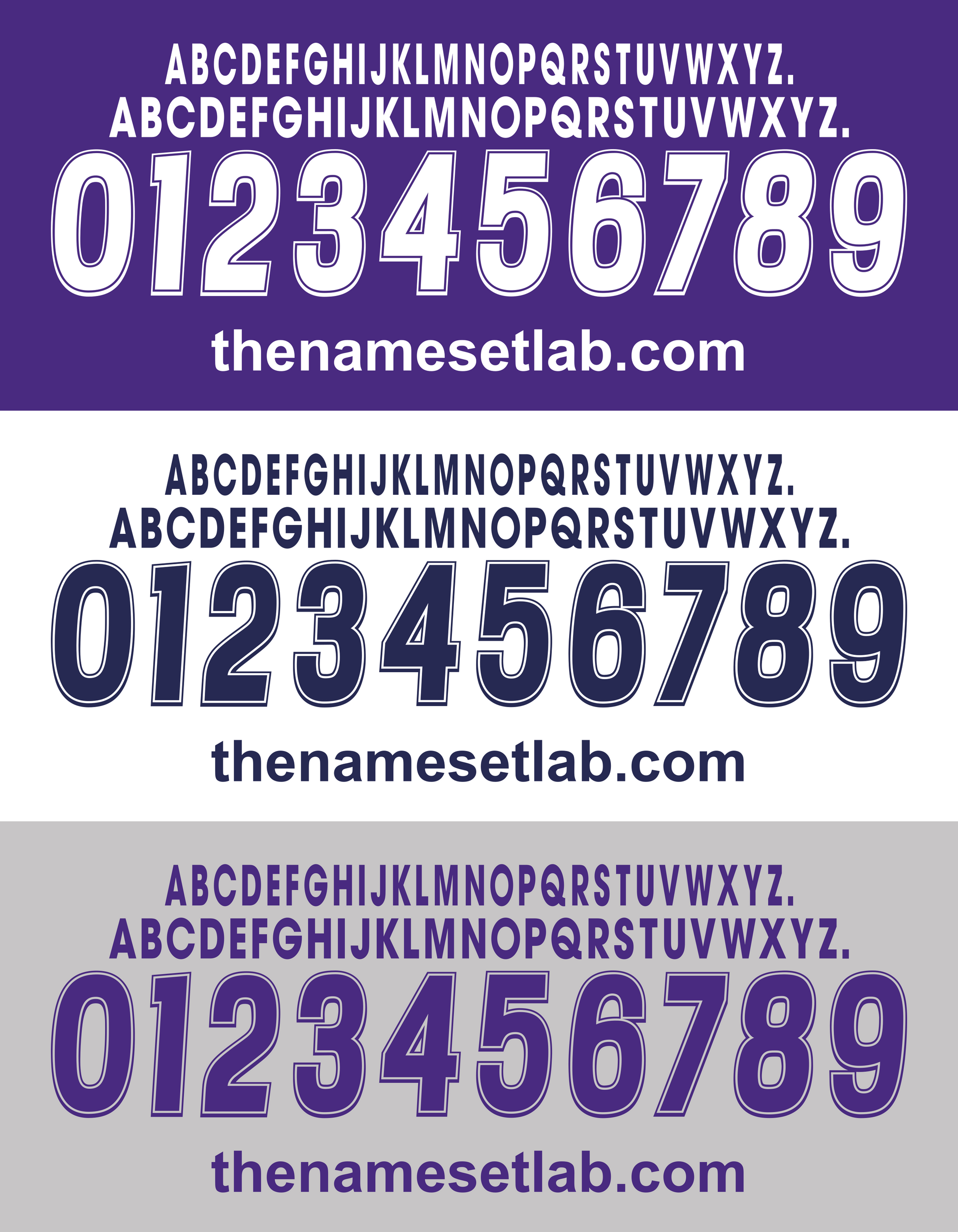 Fiorentina 2000-2001 Nameset - a series of letters and numbers on a purple white and grey backround