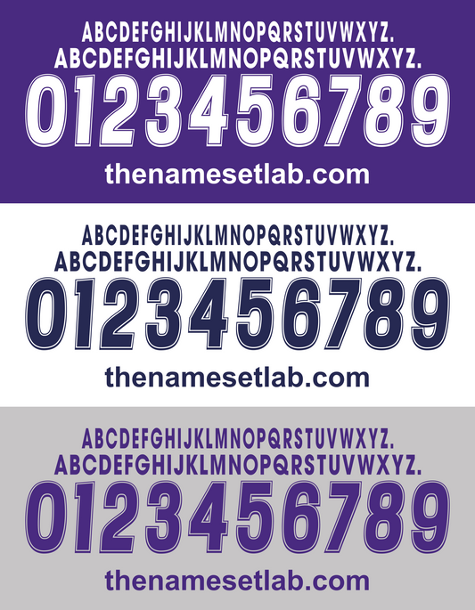 Fiorentina 2000-2001 Nameset - a series of letters and numbers on a purple white and grey backround