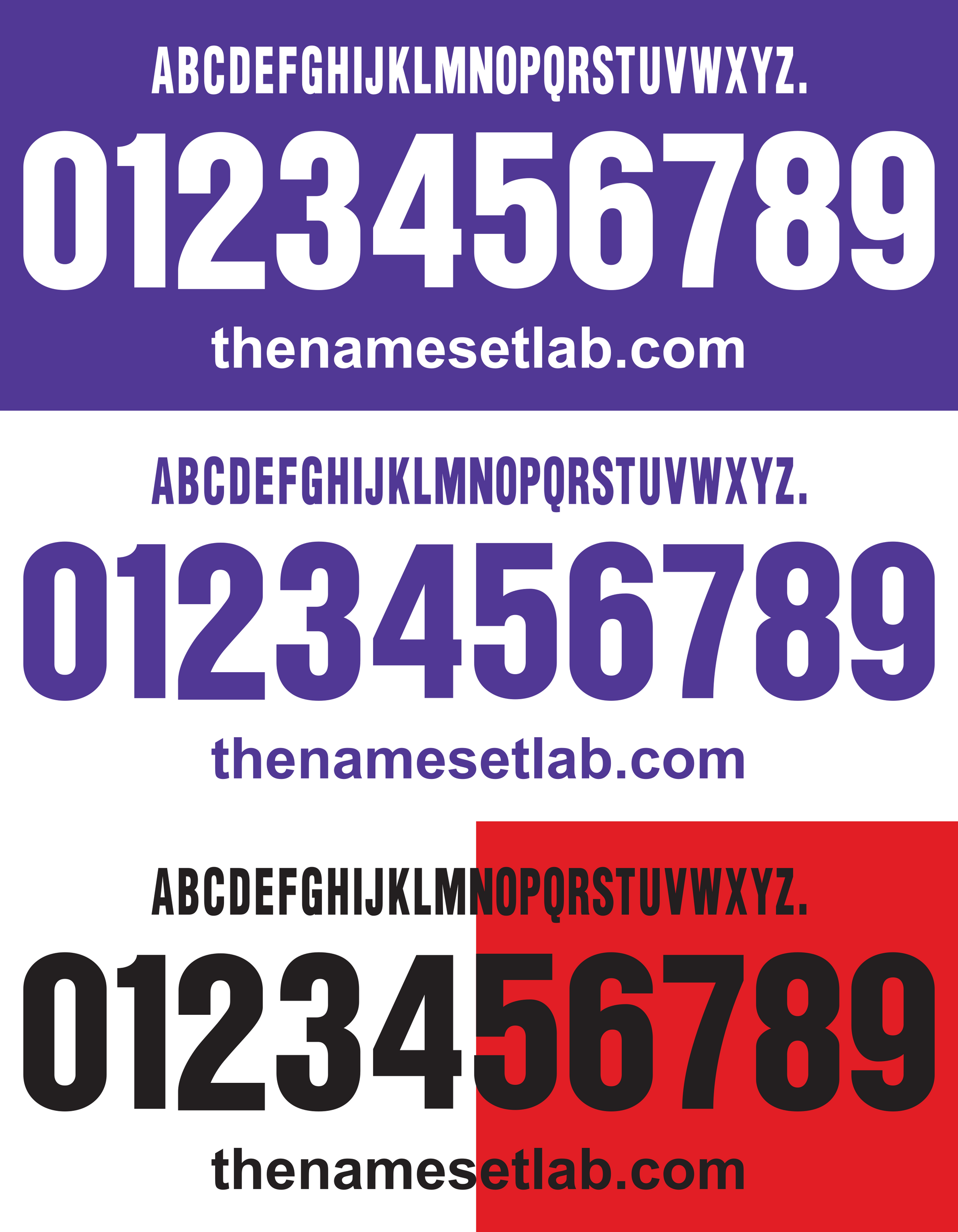Three color options for the Fiorentina 2001-2002 Nameset text display with 'thenamesetlab.com' branding.