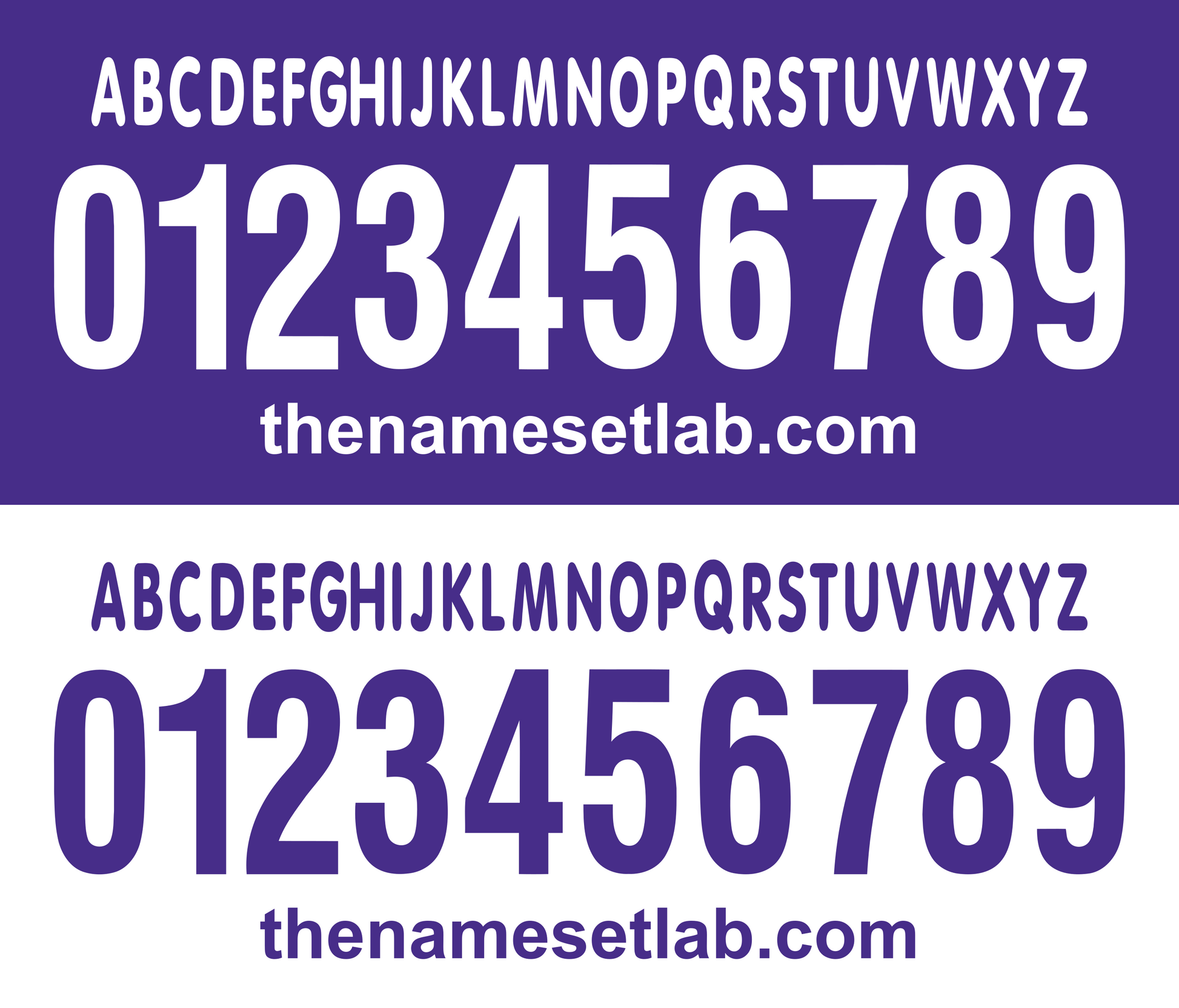 White and purple Fiorentina 2006-2007 Nameset font display with numbers and website URL on a white background
