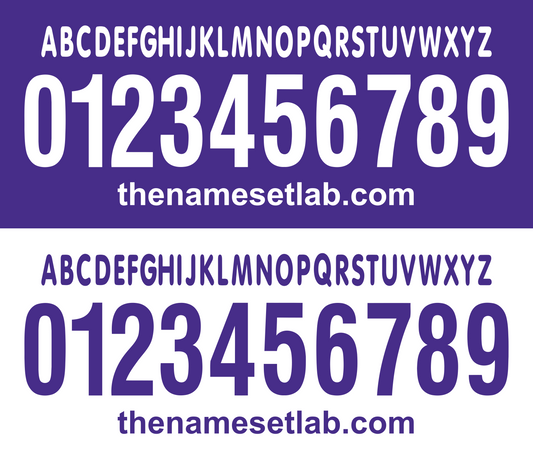 White and purple Fiorentina 2006-2007 Nameset font display with numbers and website URL on a white background