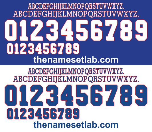 France 1996 Football Nameset AI Vector File