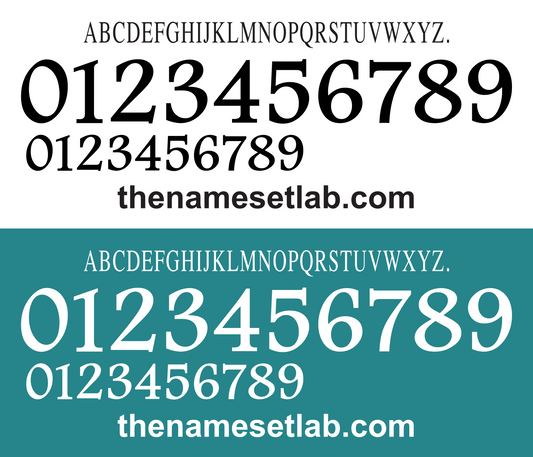 Germany 1996 Football Nameset AI Vector File