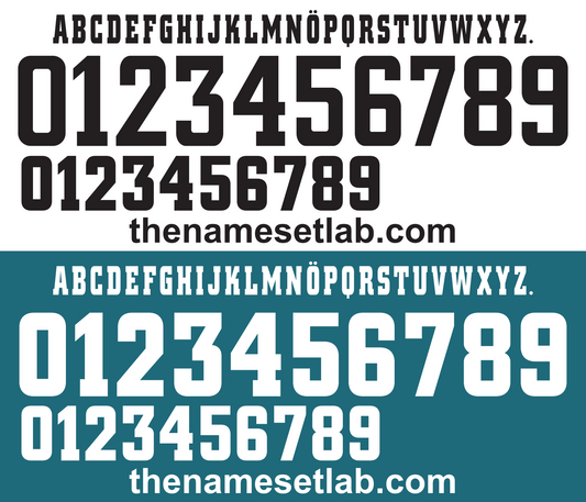 Germany 1998 Football Nameset AI Vector File