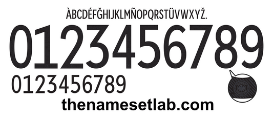 Germany Euro 2020 Football Nameset AI Vector File
