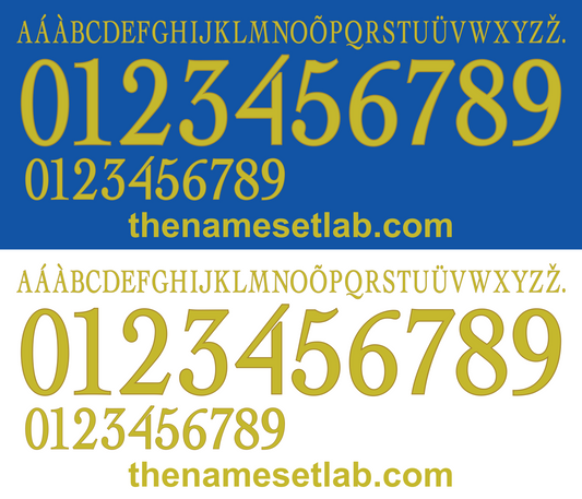 Italy 2004 Football Nameset AI Vector File