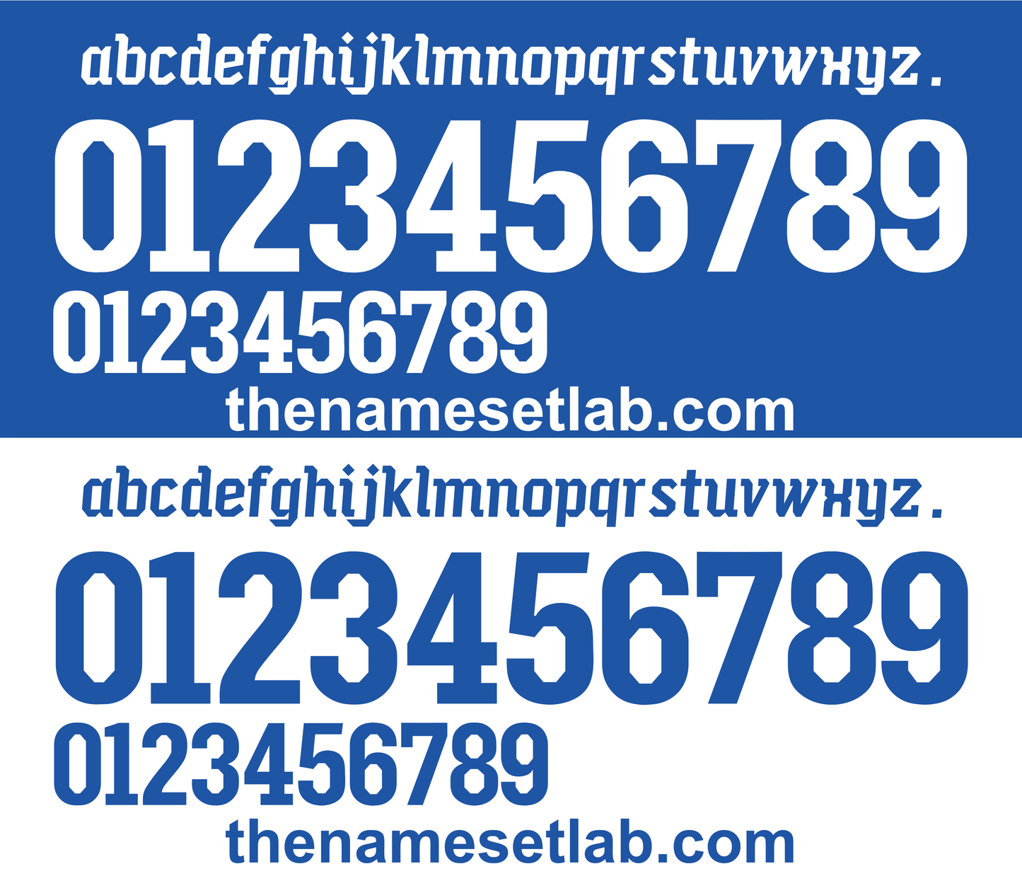 Italy 2010 Football Nameset AI Vector File