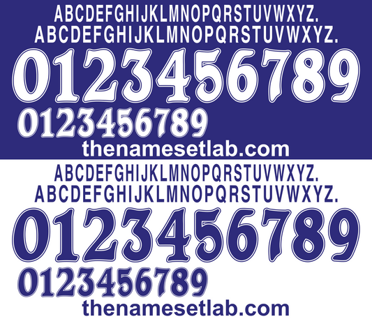 Japan 1998 Football Nameset AI Vector File