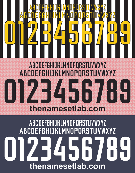 Juventus 2003-2004 Nameset AI Vector File