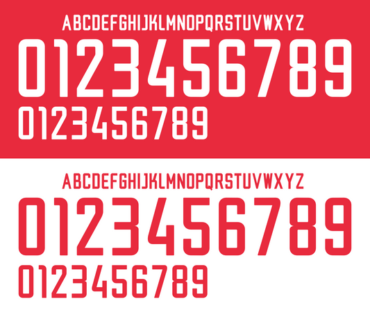 South Korea 2002 Football Nameset AI Vector File