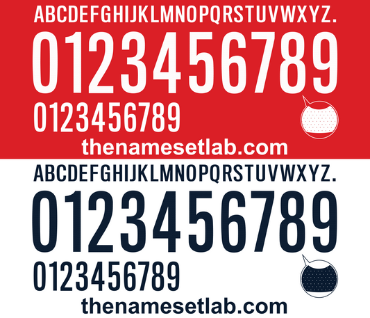 South Korea 2014 Football Nameset AI Vector File