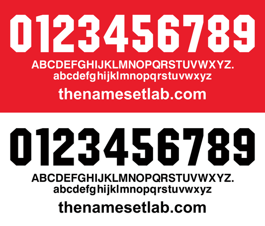 Leverkusen 1998-1999 Nameset AI Vector File