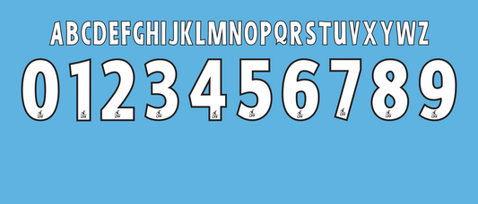 Ligue 1 2007–2010 Nameset Vector mockup 