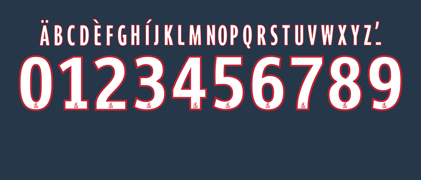 Ligue 1 2007–2010 Nameset mockup example