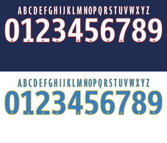 Ligue 1 2010–2015 Nameset Vector mockup