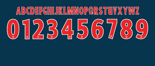 Ligue 1 1997–2001 Nameset Vector mockup