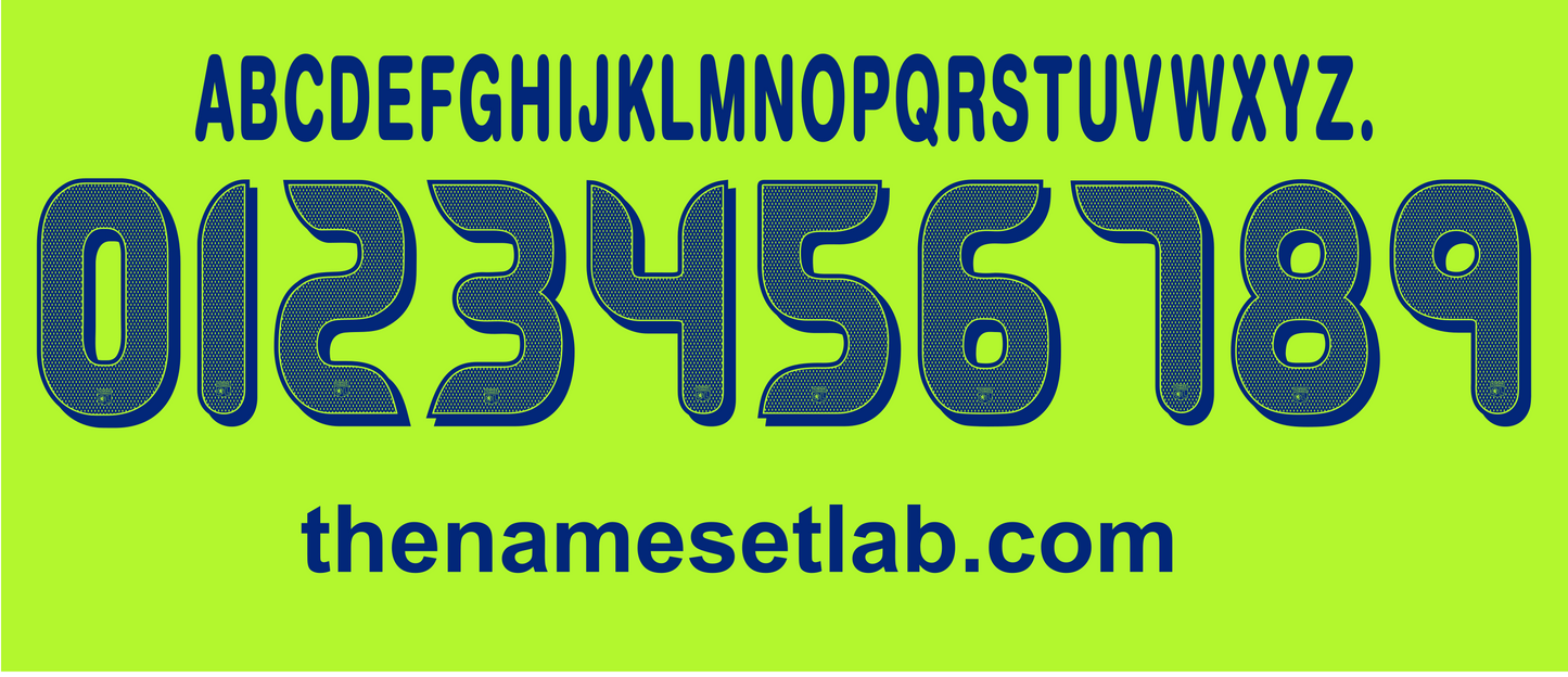 Lyon 2008–2009 Nameset mockup