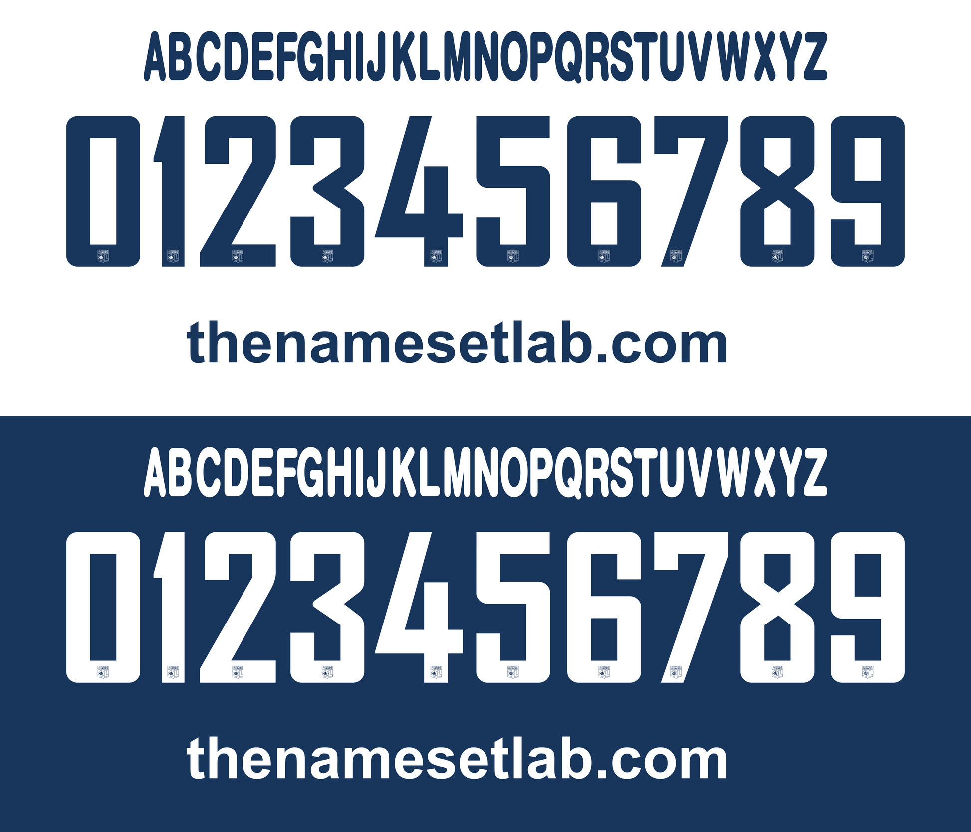  Lyonnais 2010–2011 Nameset mockup
