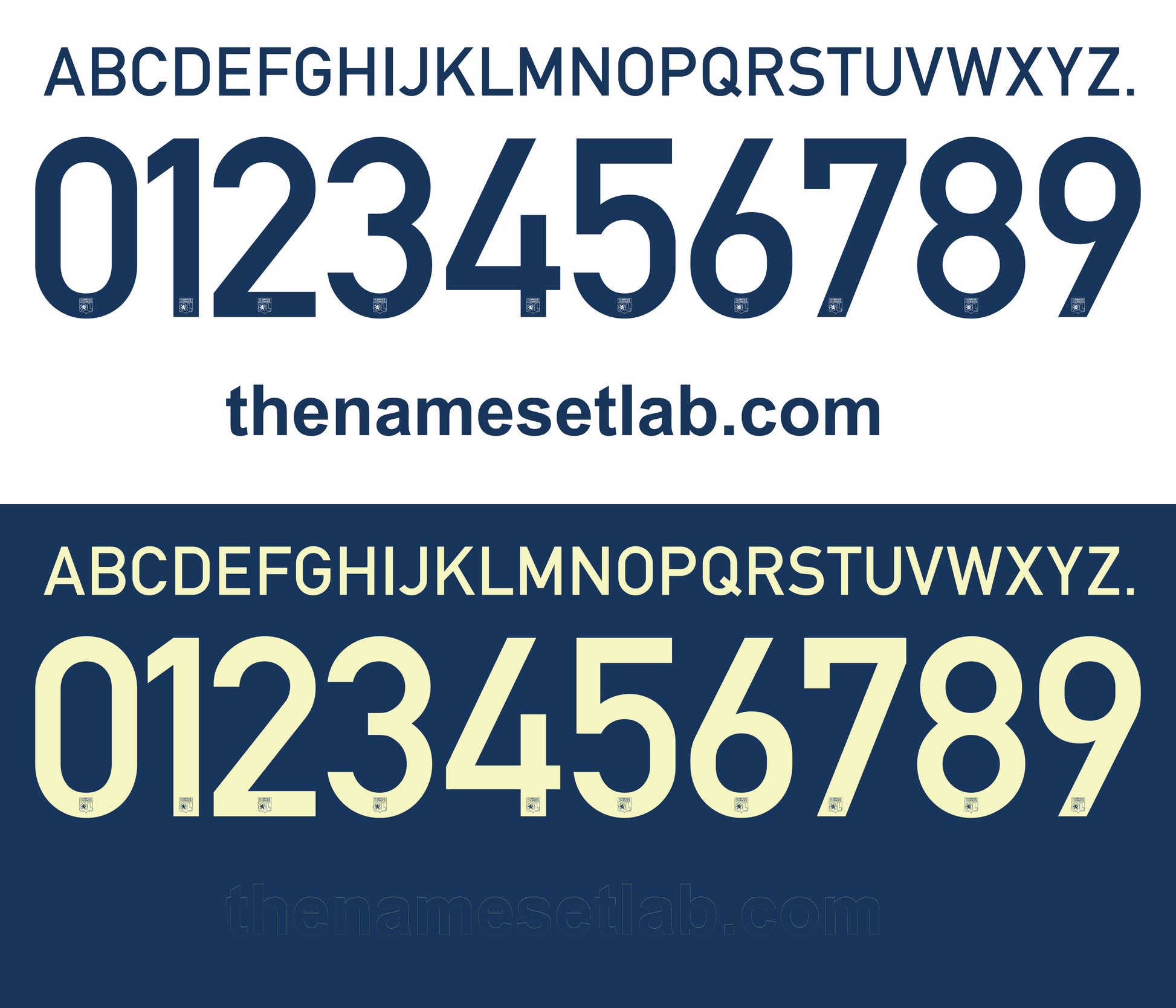 Lyonnais 2013–2014 Nameset mockup