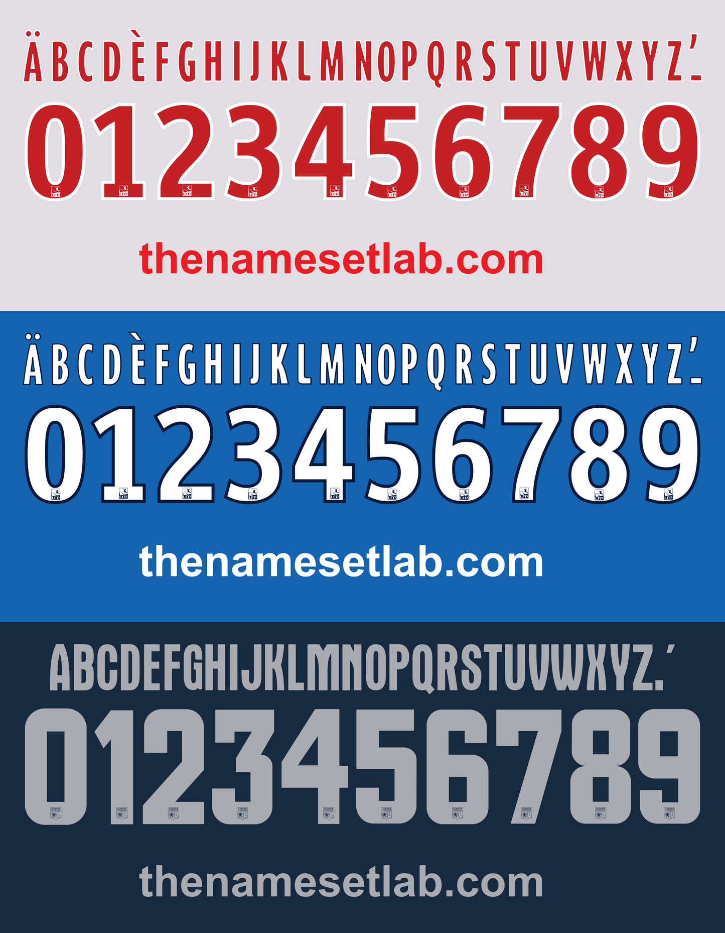 Lyon Ligue 1 & European 2014–2015 Nameset mockup