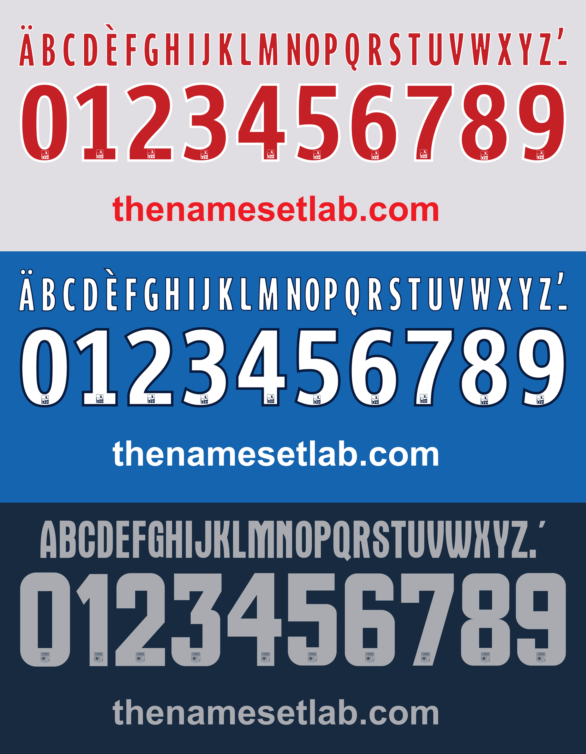 Lyon Ligue 1 & European 2014–2015 Nameset mockup