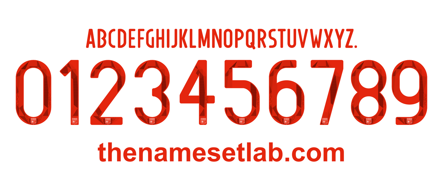 Lyon 2016–2017 Nameset Mockup